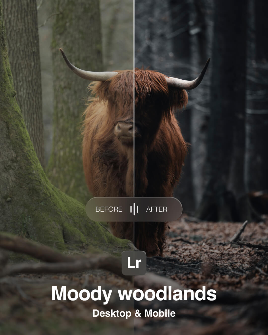 Moody Woodlands - Lightroom Preset Pack