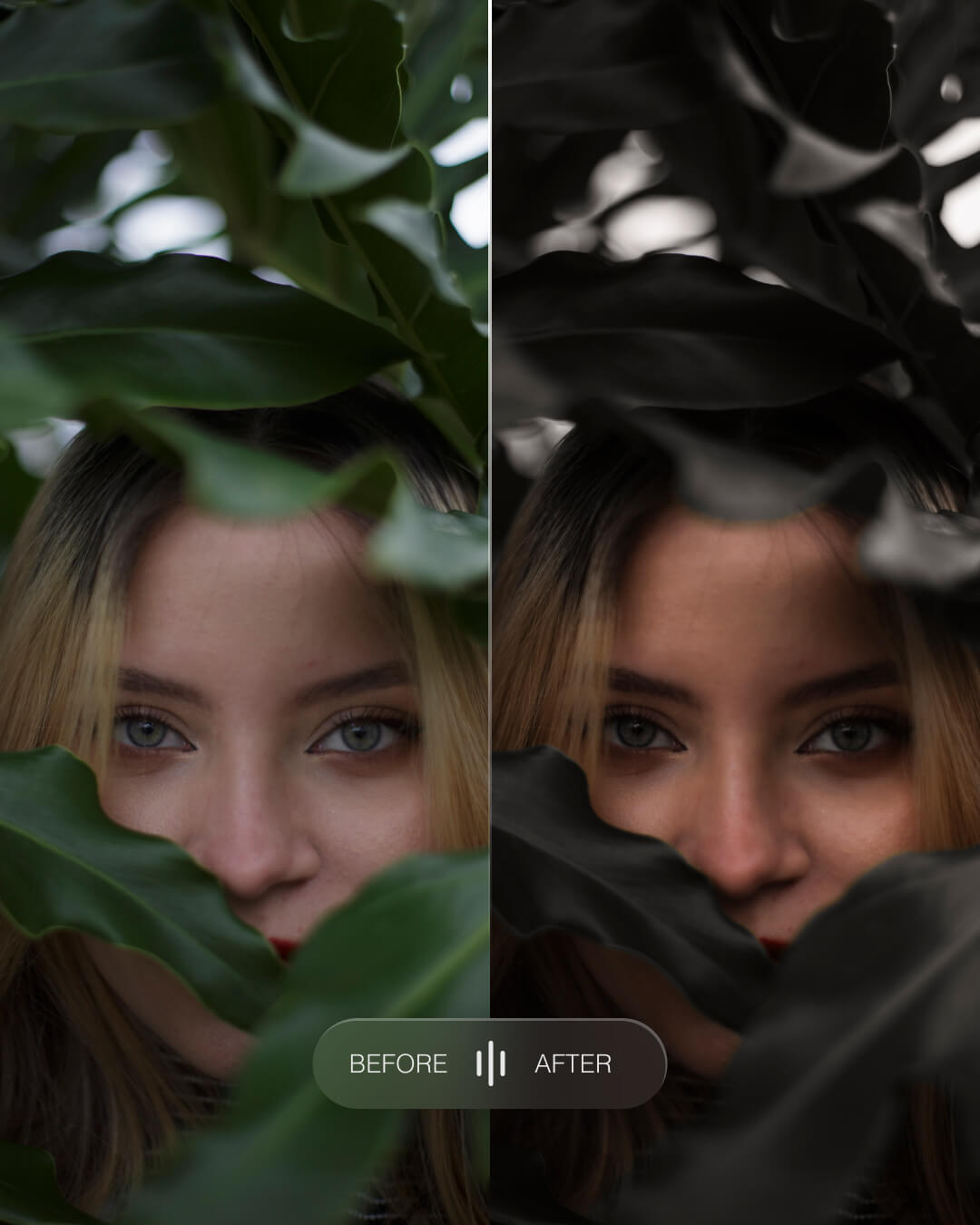 Moody Woodlands - Lightroom Preset Pack