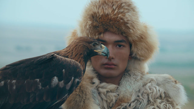 Cinematic LUTs — The Modular System